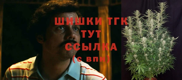 прущие крисы Беломорск