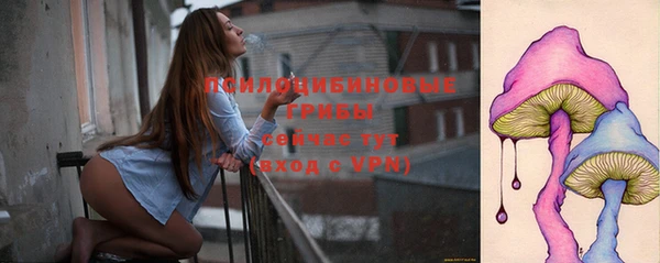 ALPHA PVP Белокуриха