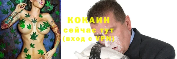 прущие крисы Беломорск