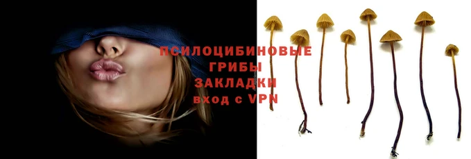 прущие крисы Беломорск