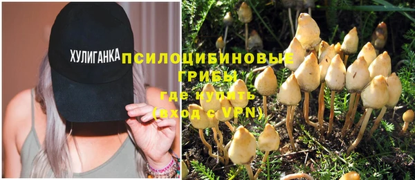 прущие крисы Беломорск
