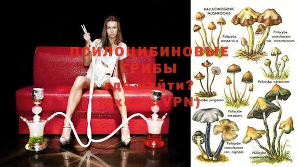 прущие крисы Беломорск